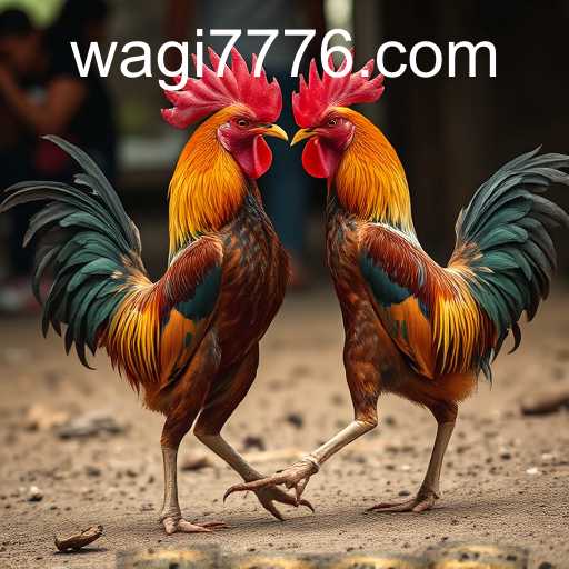 Cockfighting
